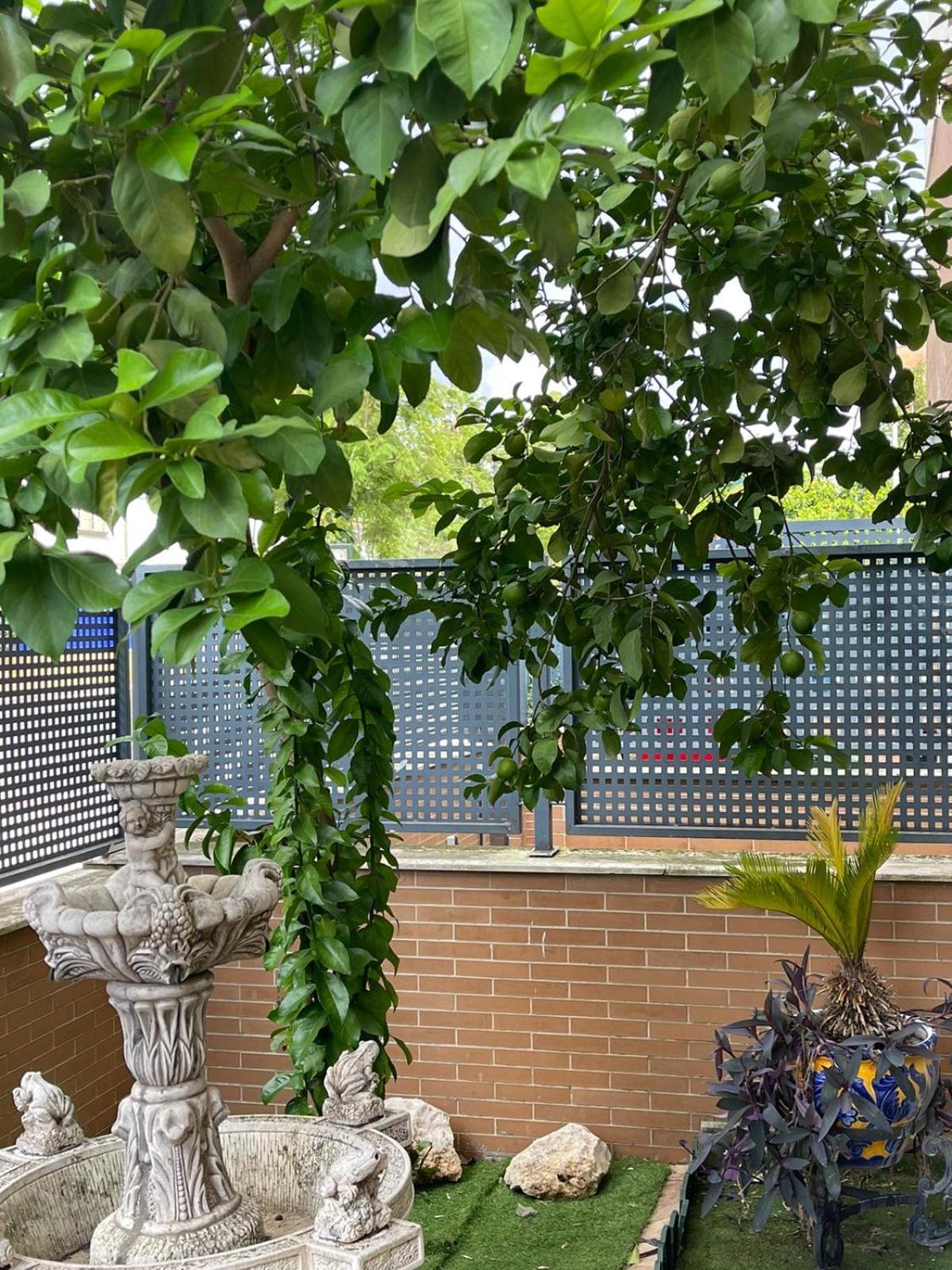 Homestay Glass Student-habitacion Doble Privada En Casa Compartida-uebica2 Mairena del Aljarafe